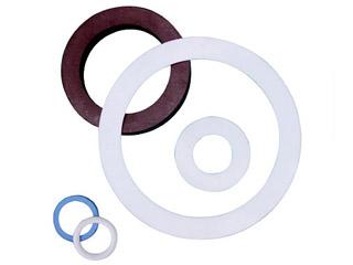 Ptfe Gasket